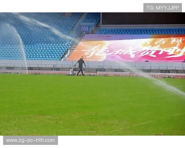 多特边路传中与禁区配合形成默契，最终完成建功——在绿色草坪上书写团队之光